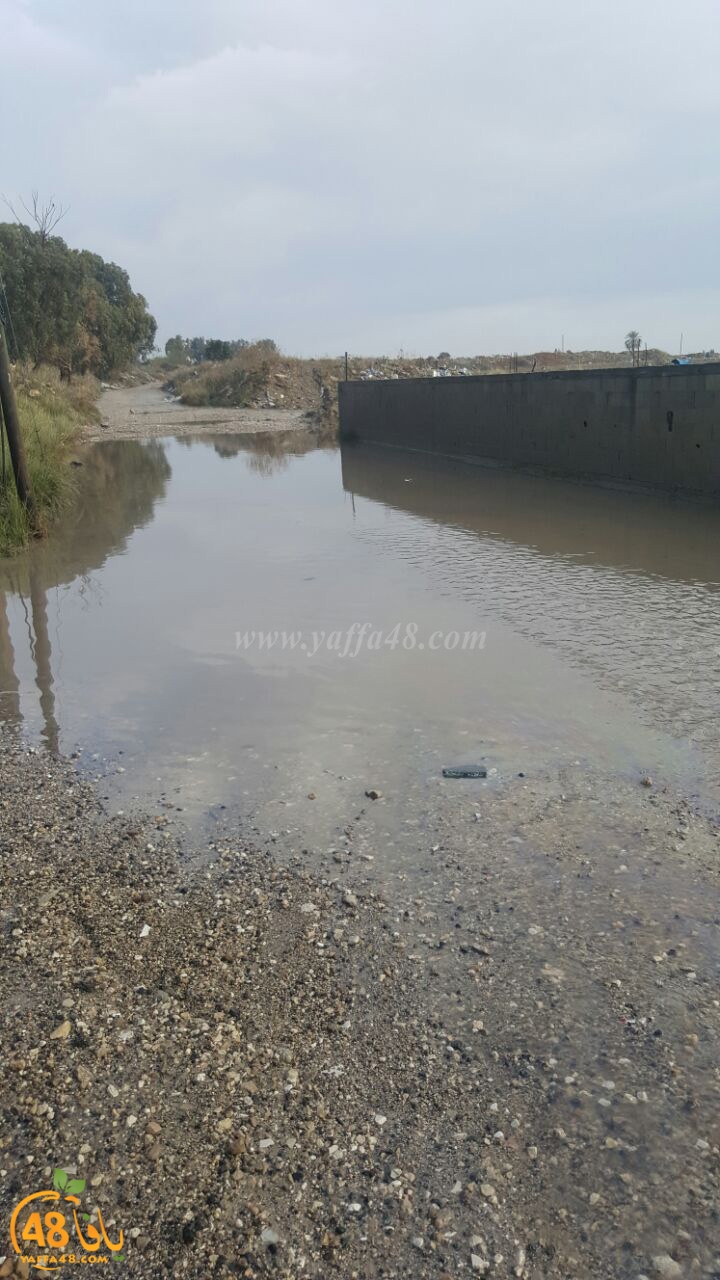 dhamasha ja3 (7).jpg